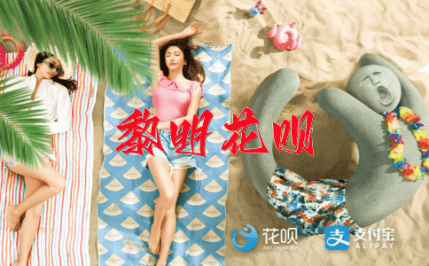 副主任花呗